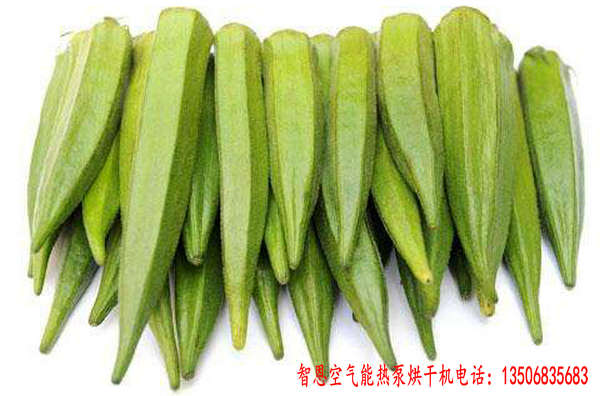 黃秋葵烘干機